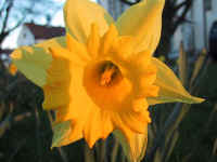 reiner/images/Stadtteil/IMG_0237.jpg (47668 Byte)
