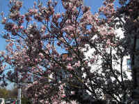 reiner/images/Stadtteil/IMG_0369.jpg (180019 Byte)